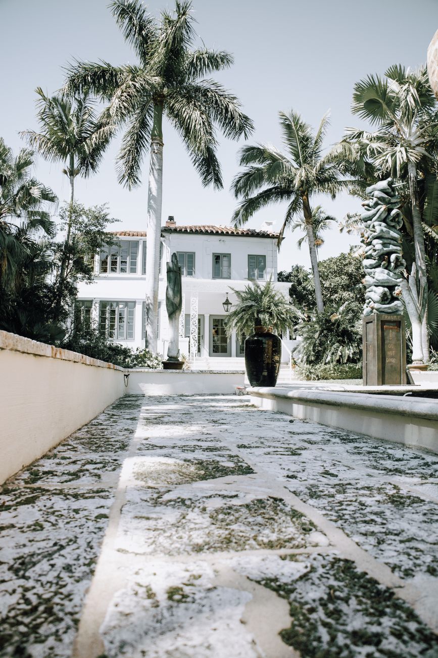 pavement in park with palm trees and house behind