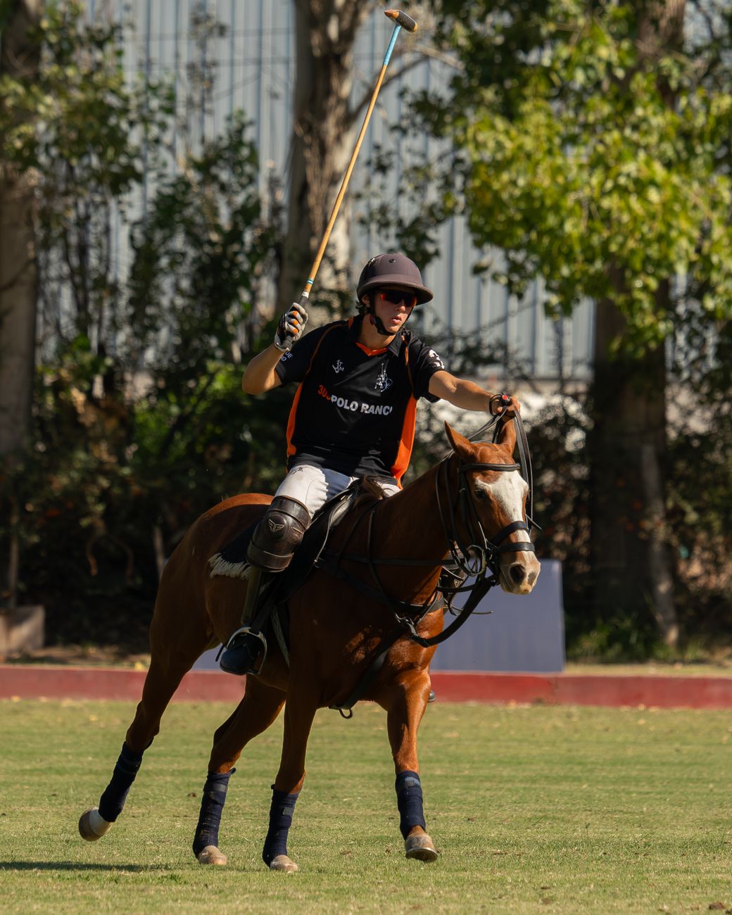polo player in action on sunny day